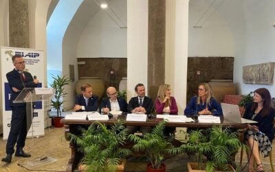“Si lavori a una ‘ZES Casa’ per dare impulso a operatori privati”: Bonifati al convegno FIAIP sul Piano Casa